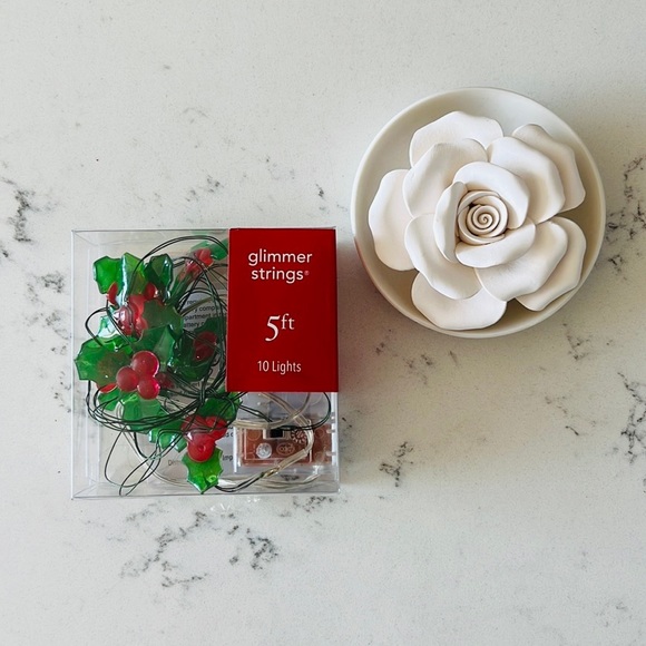 Pier 1  Holly Glimmer 5' LED  String lights - Picture 2 of 15